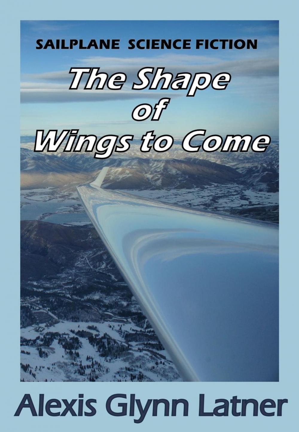 Big bigCover of The Shape of Wings to Come