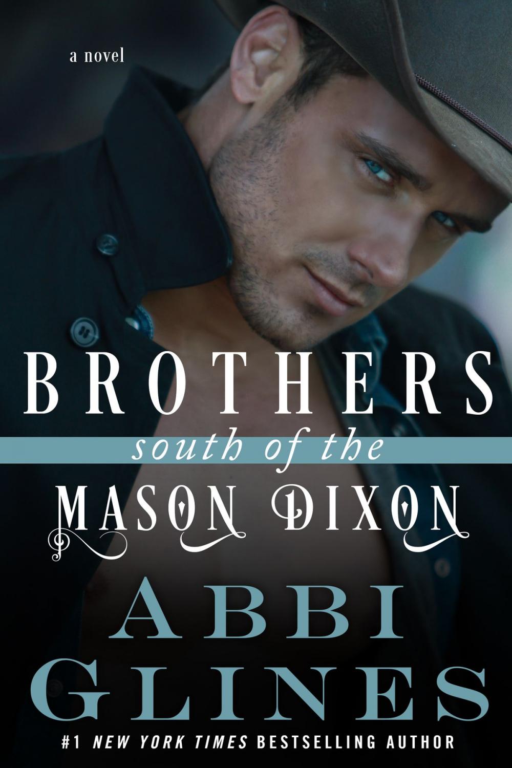 Big bigCover of Brothers South of the Mason Dixon