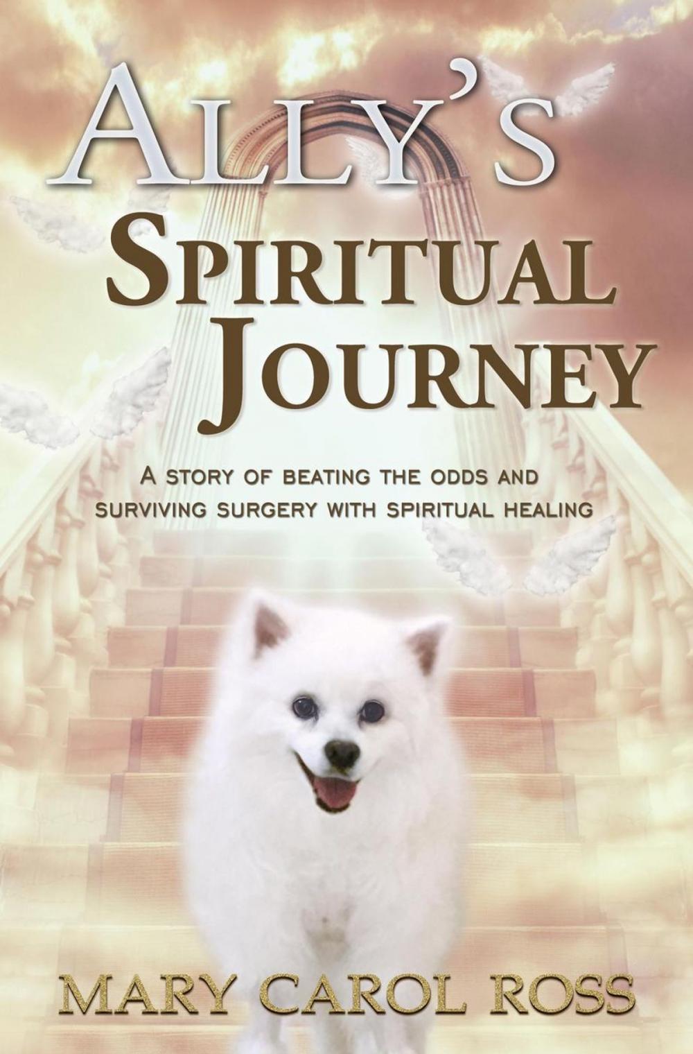 Big bigCover of Ally's Spiritual Journey