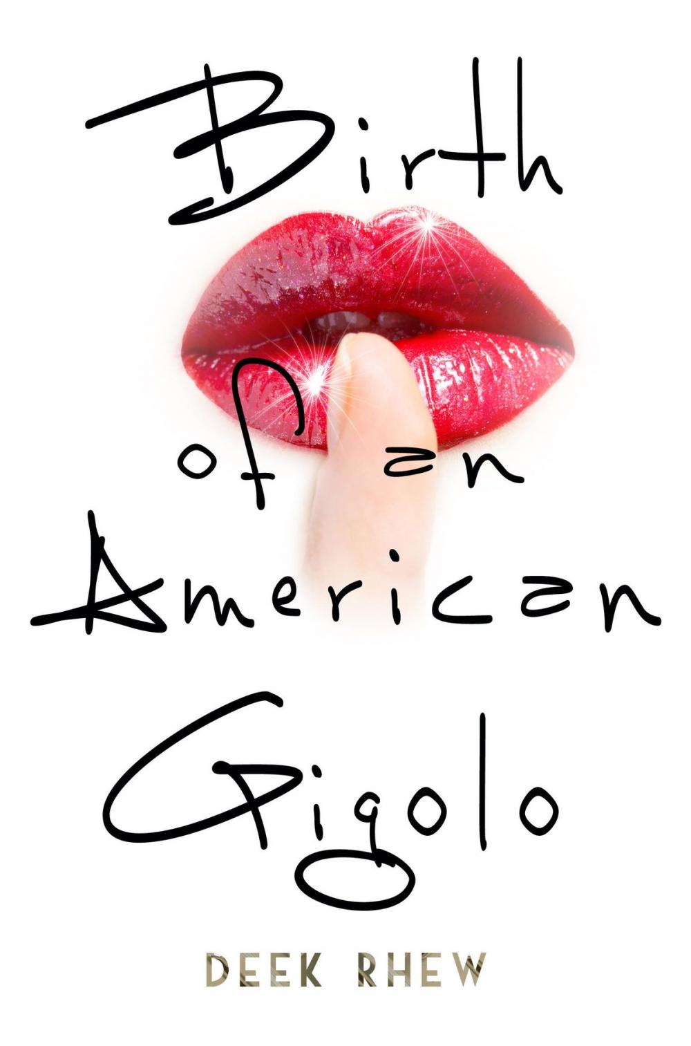 Big bigCover of Birth of an American Gigolo