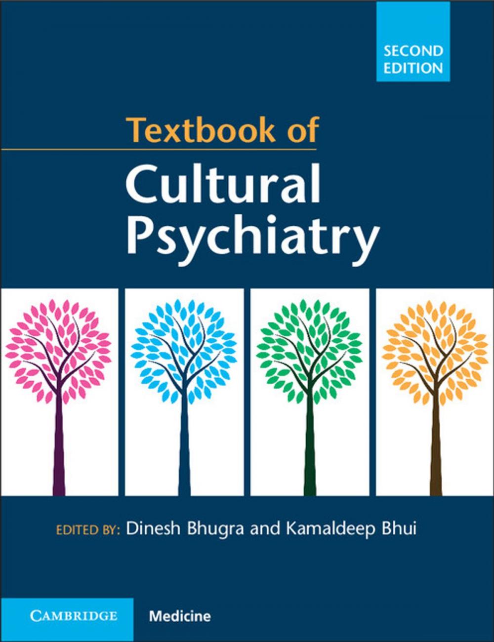 Big bigCover of Textbook of Cultural Psychiatry