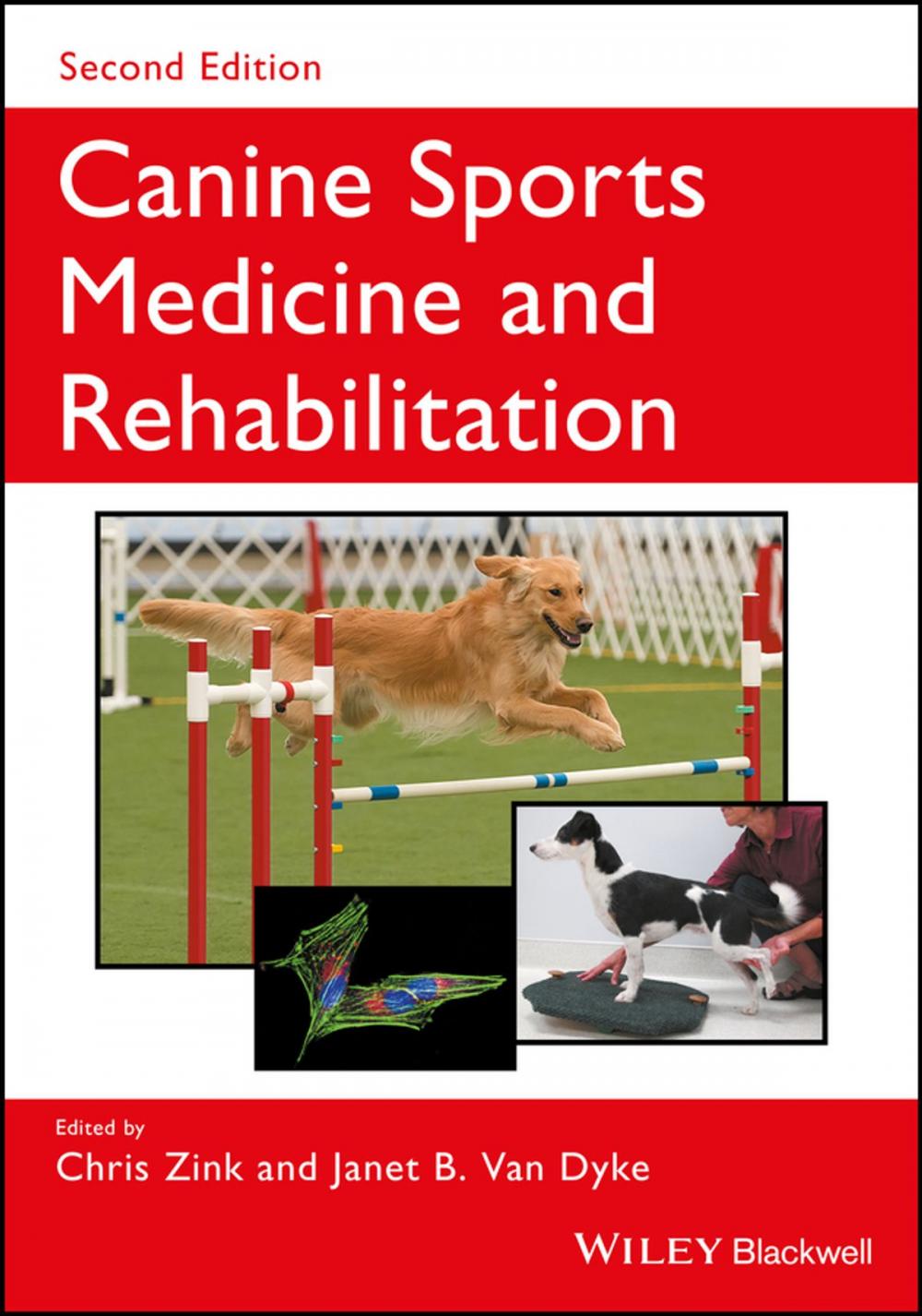 Big bigCover of Canine Sports Medicine and Rehabilitation