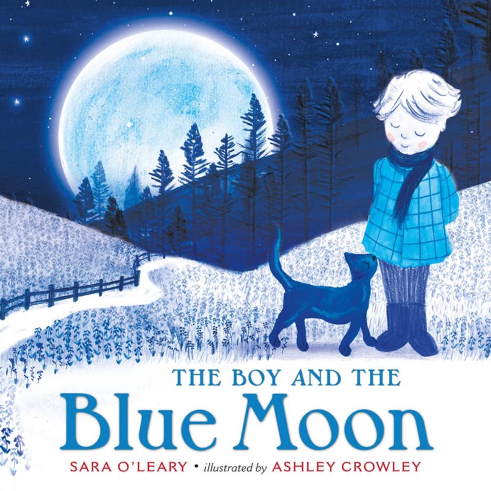 Big bigCover of The Boy and the Blue Moon