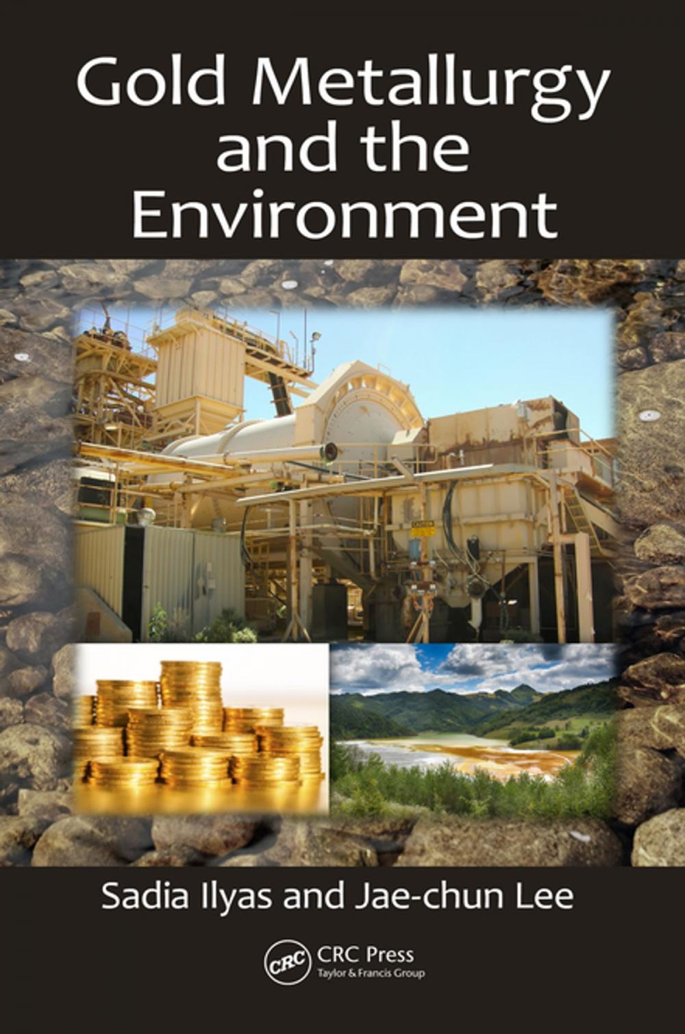 Big bigCover of Gold Metallurgy and the Environment