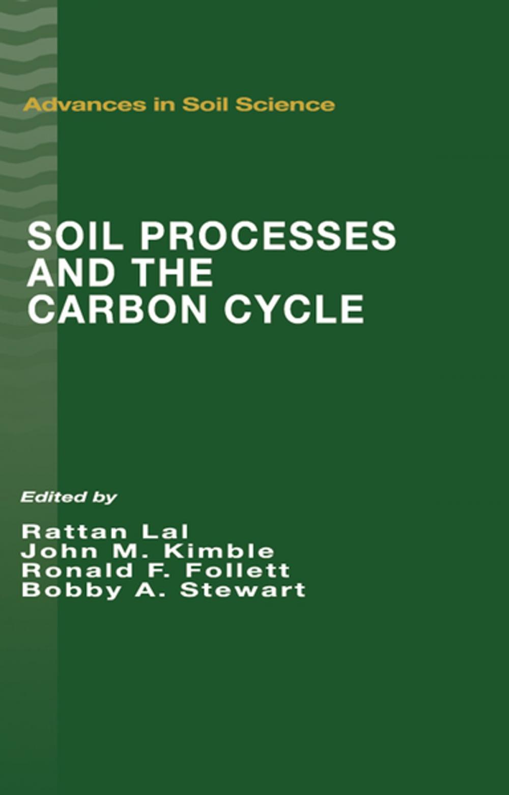 Big bigCover of Soil Processes and the Carbon Cycle