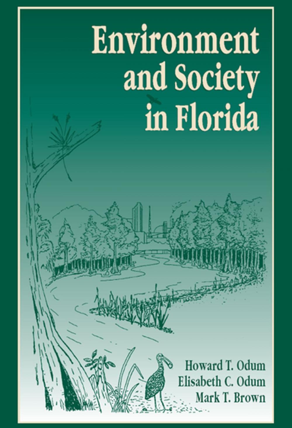 Big bigCover of Environment and Society in Florida