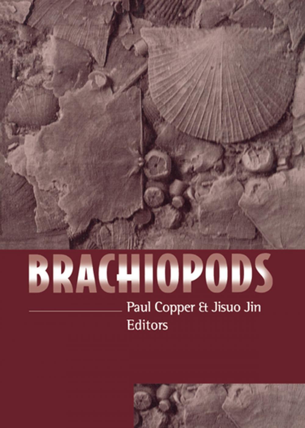 Big bigCover of Brachiopods