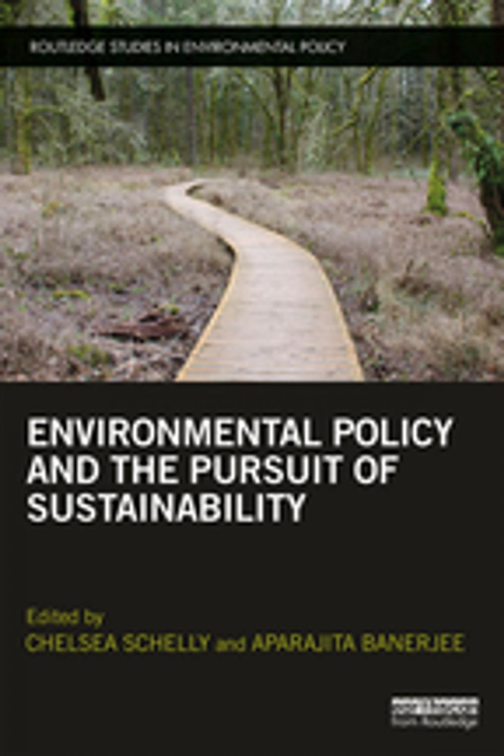 Big bigCover of Environmental Policy and the Pursuit of Sustainability