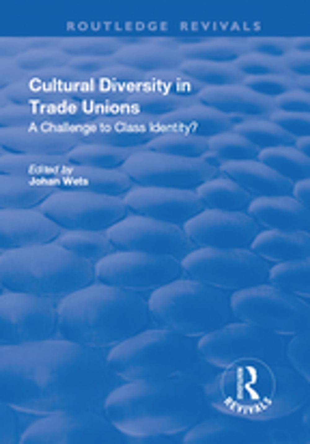 Big bigCover of Cultural Diversity in Trade Unions: A Challenge to Class Identity?