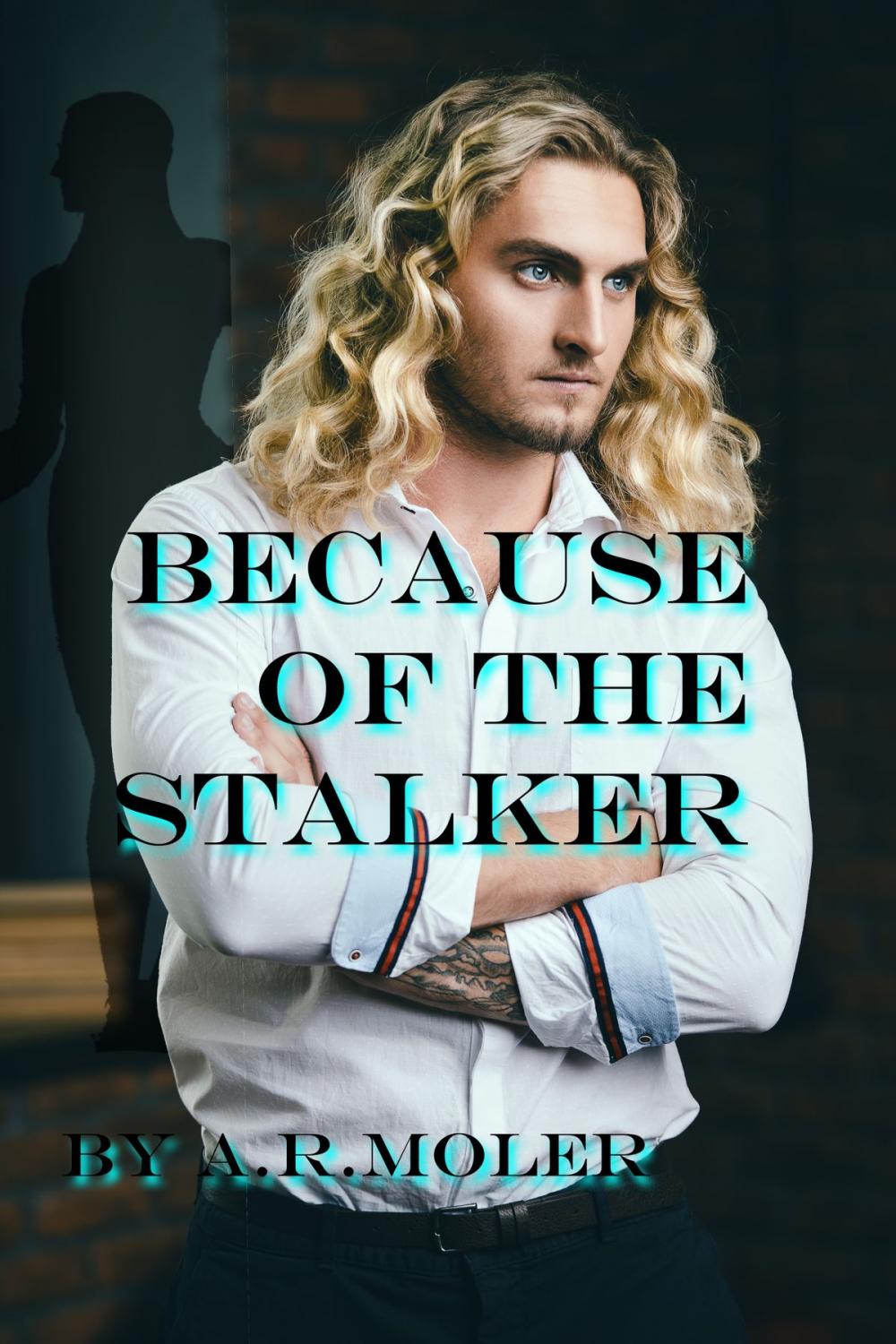 Big bigCover of Because of the Stalker