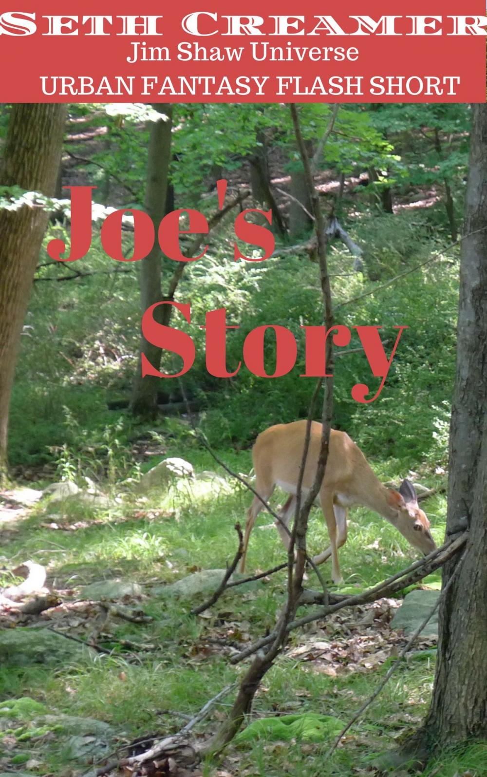 Big bigCover of Joe's Story