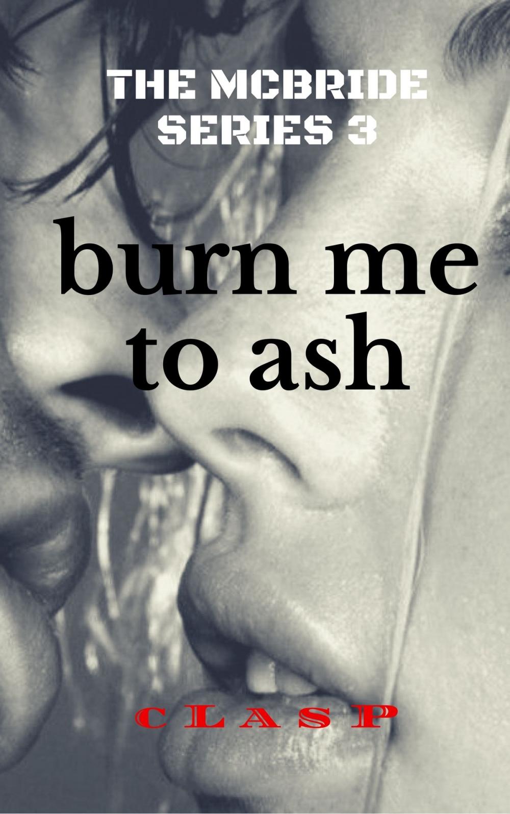 Big bigCover of The McBride Series 3: Burn Me to Ash