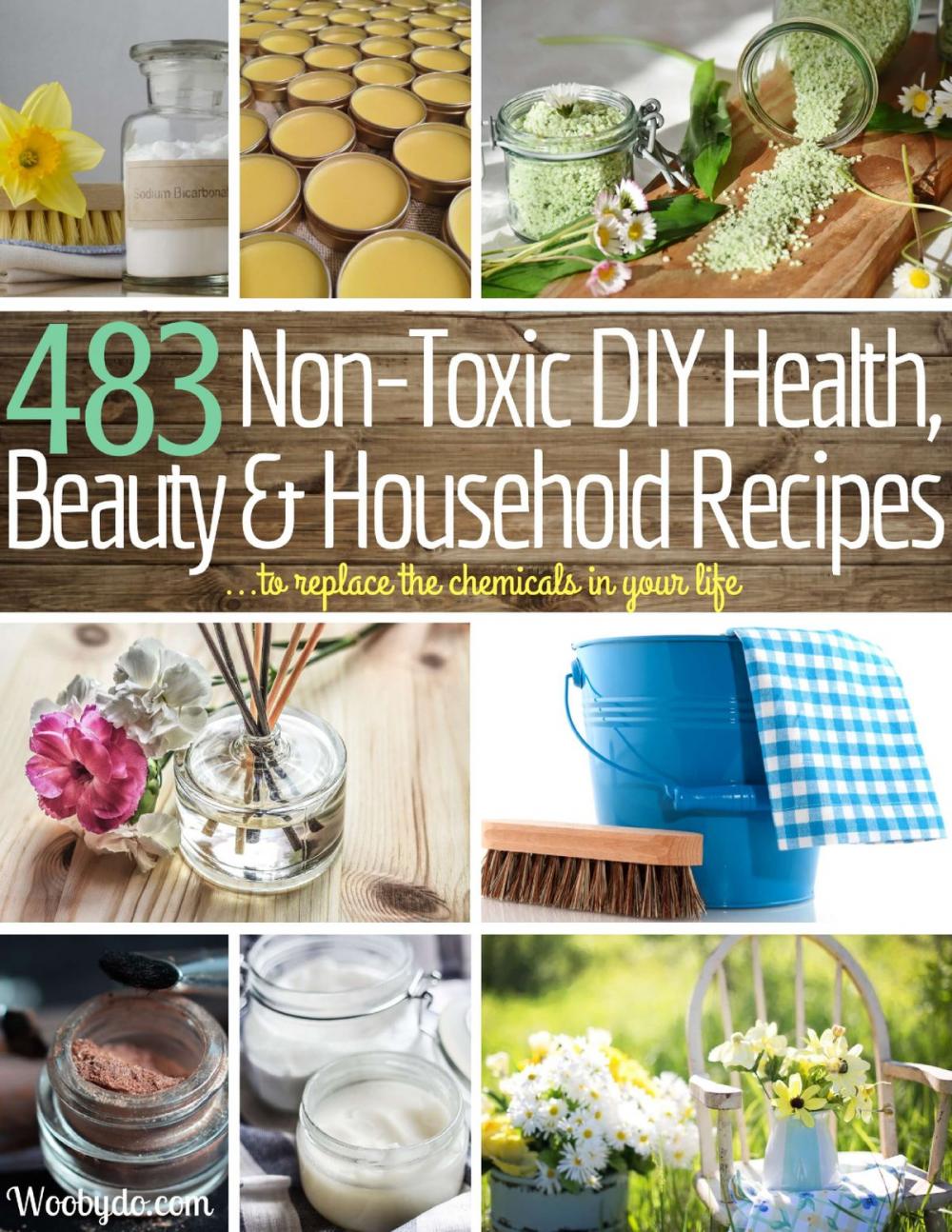 Big bigCover of 483 Non-Toxic DIY, Health, Beauty, and Household Recipes to Replace the Chemicals in your Life