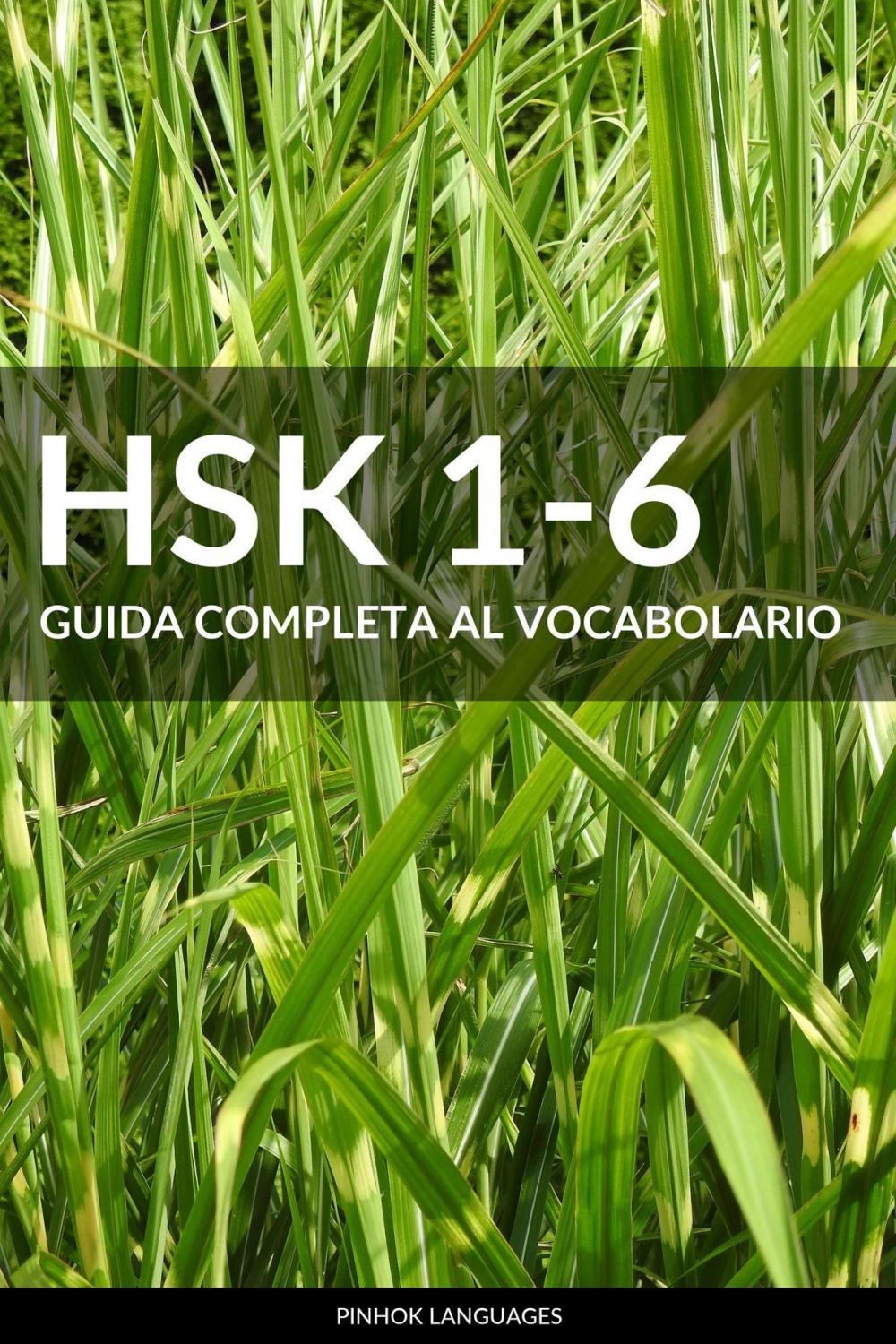 Big bigCover of HSK 1-6 Guida Completa al Vocabolario