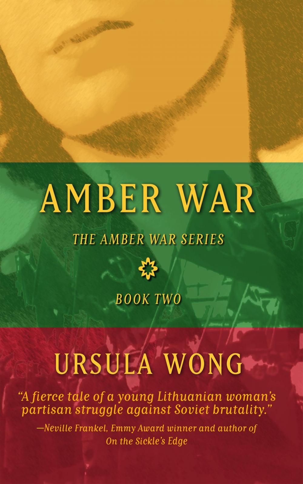 Big bigCover of Amber War