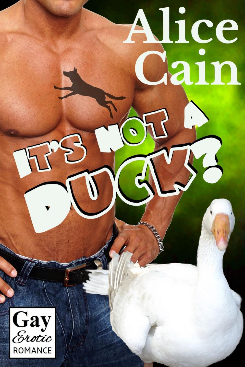 Big bigCover of It's Not a Duck?