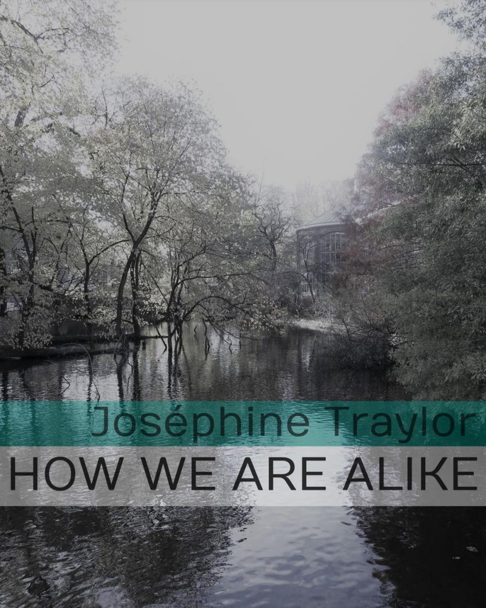 Big bigCover of How We Are Alike