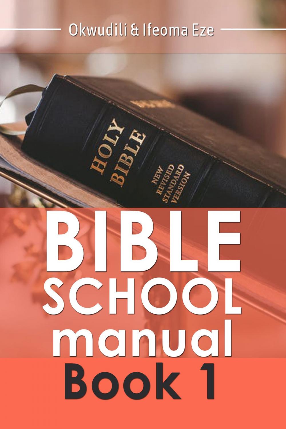 Big bigCover of Bible School Manual: Book One