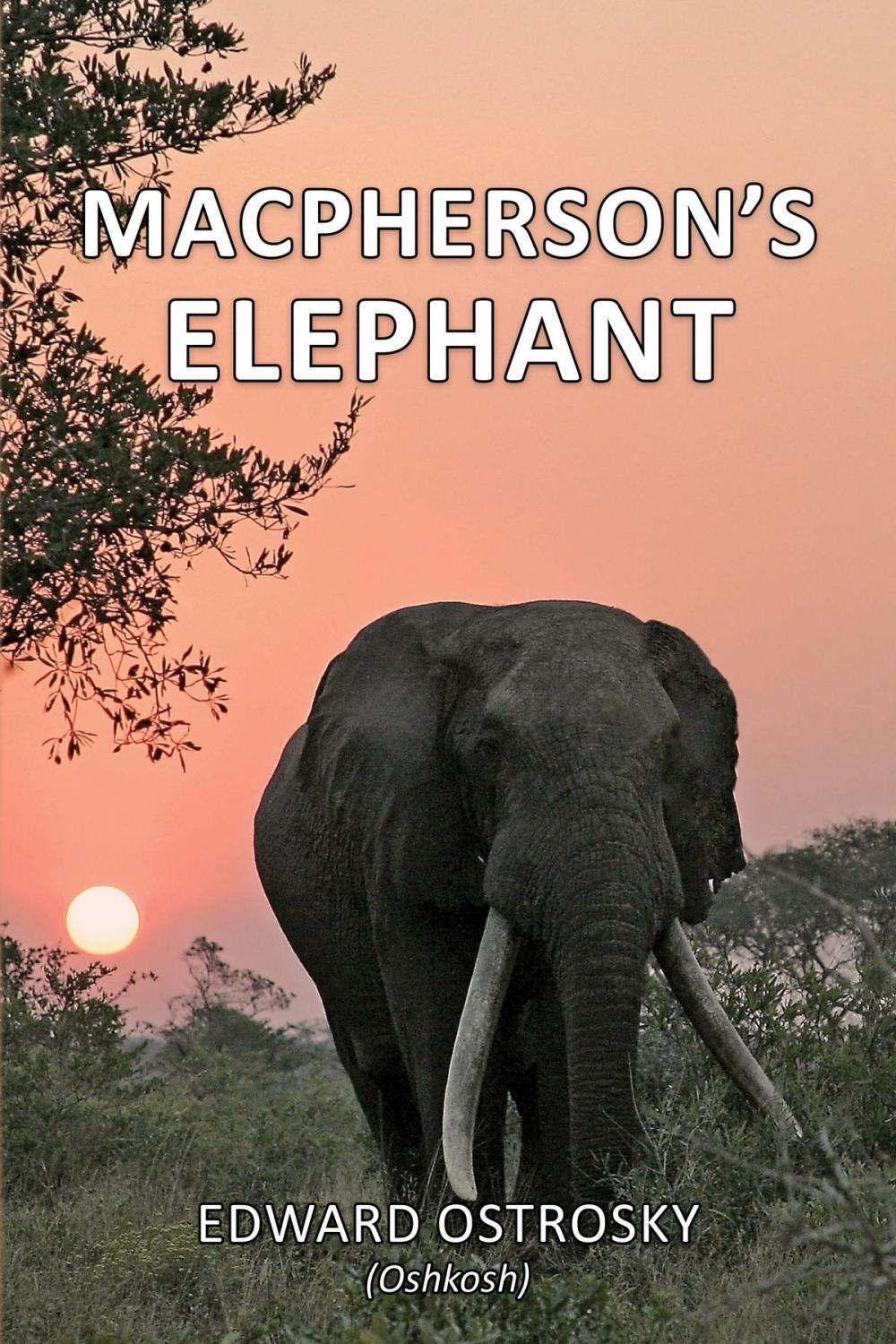 Big bigCover of Macpherson’s Elephant