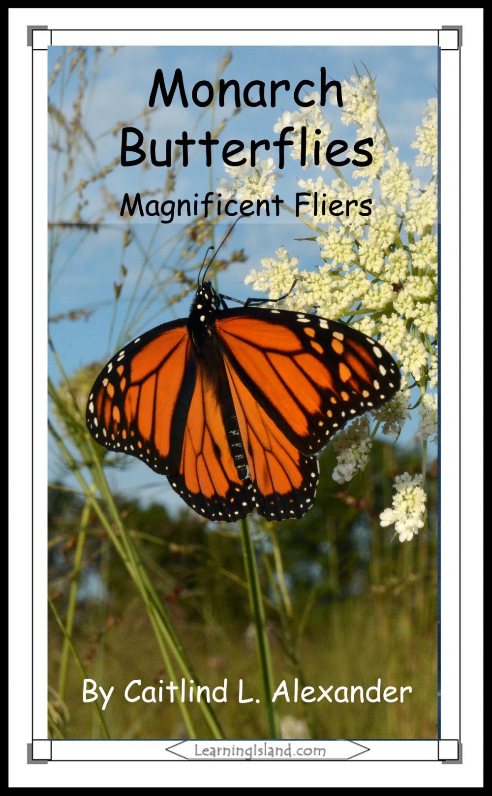 Big bigCover of Monarch Butterflies: Magnificent Fliers