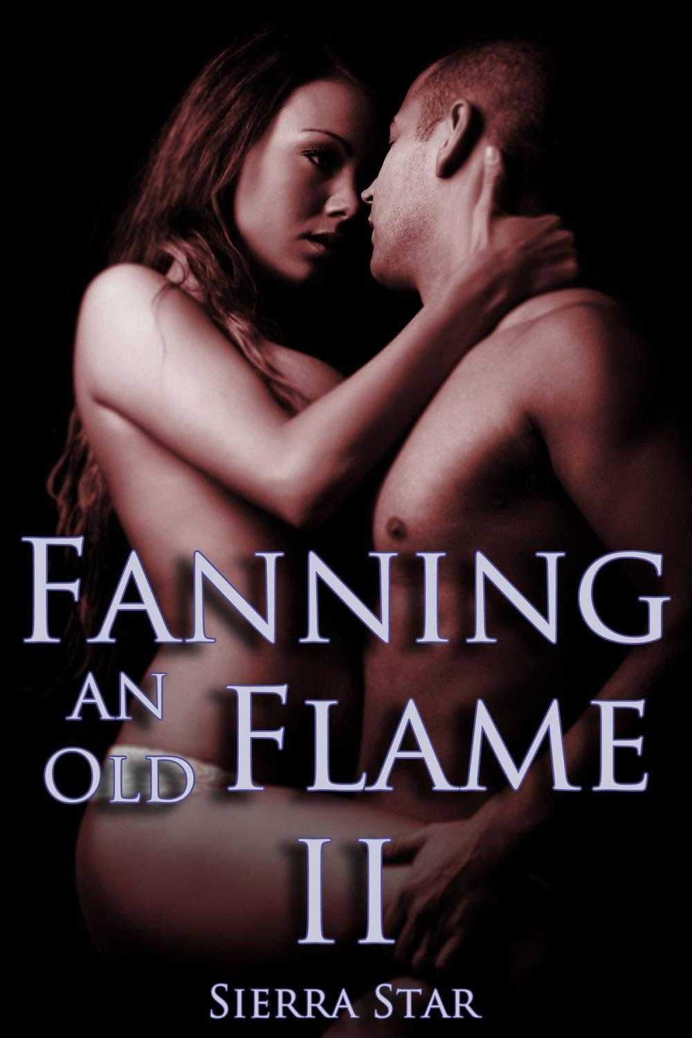 Big bigCover of Fanning an Old Flame II (Mf Erotica)