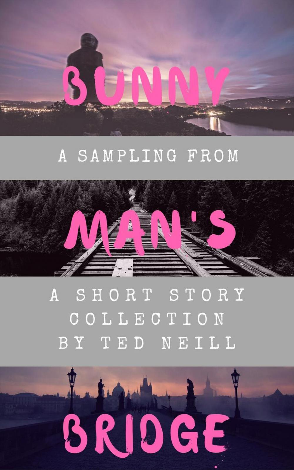 Big bigCover of Bunny Man's Bridge: A Sampling from a Short Story Collection by Ted Neill