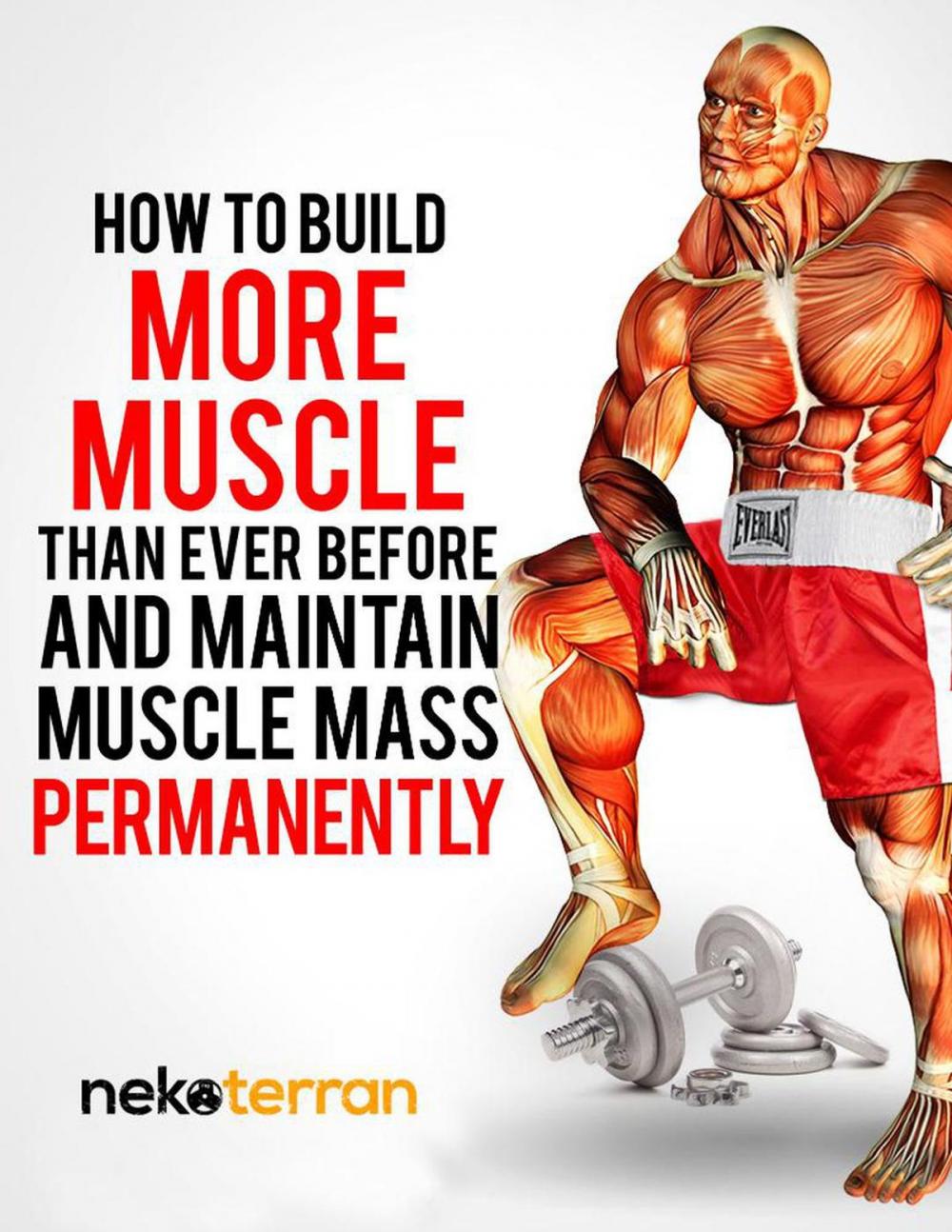 Big bigCover of How to Build More Muscle than Ever Before and Maintain Muscle Mass Permanently