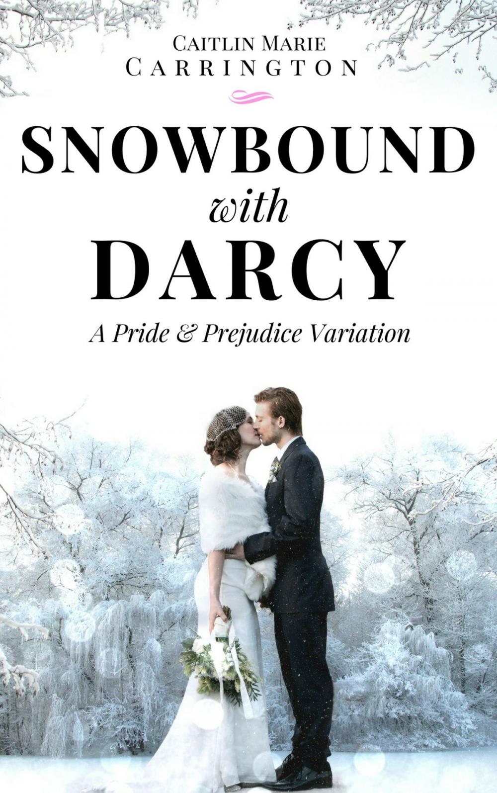 Big bigCover of Snowbound with Darcy