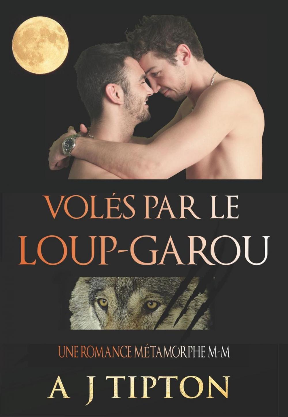 Big bigCover of Volés par le Loup-Garou: Une Romance Métamorphe M-M