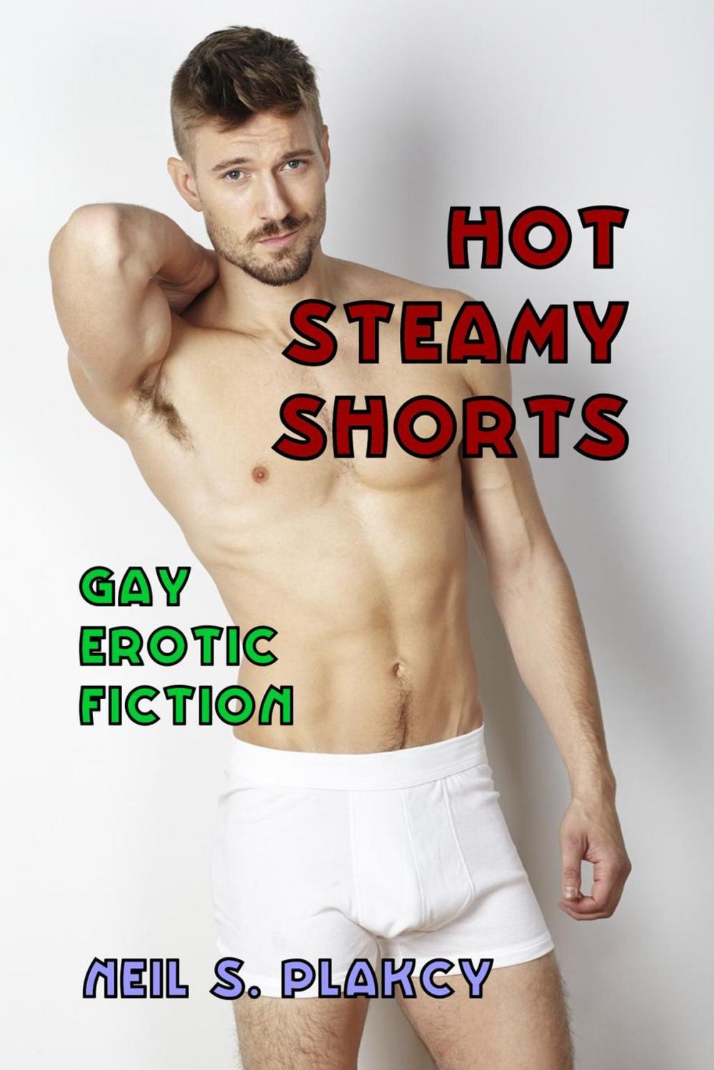 Big bigCover of Hot Steamy Shorts