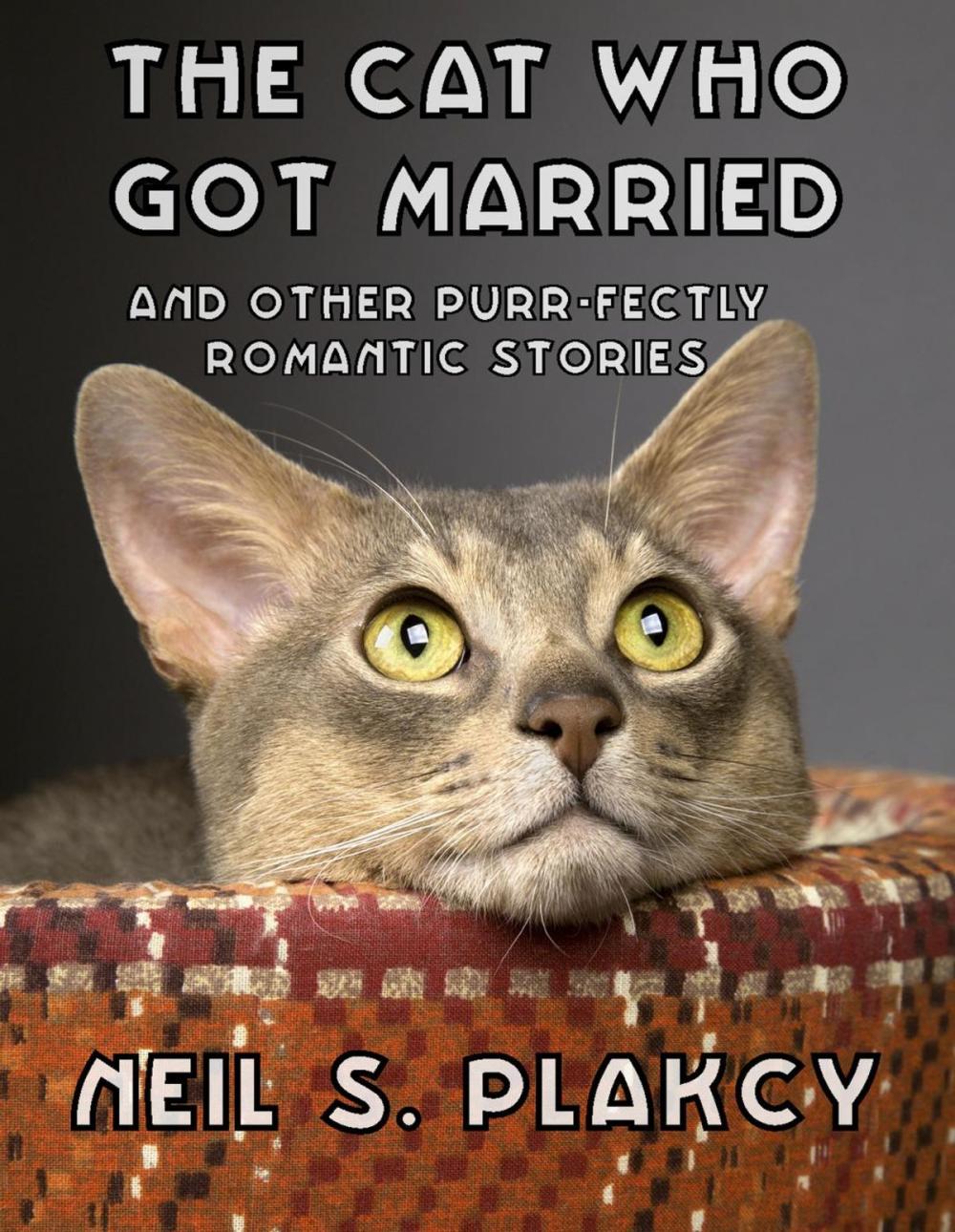 Big bigCover of The Cat Who Got Married