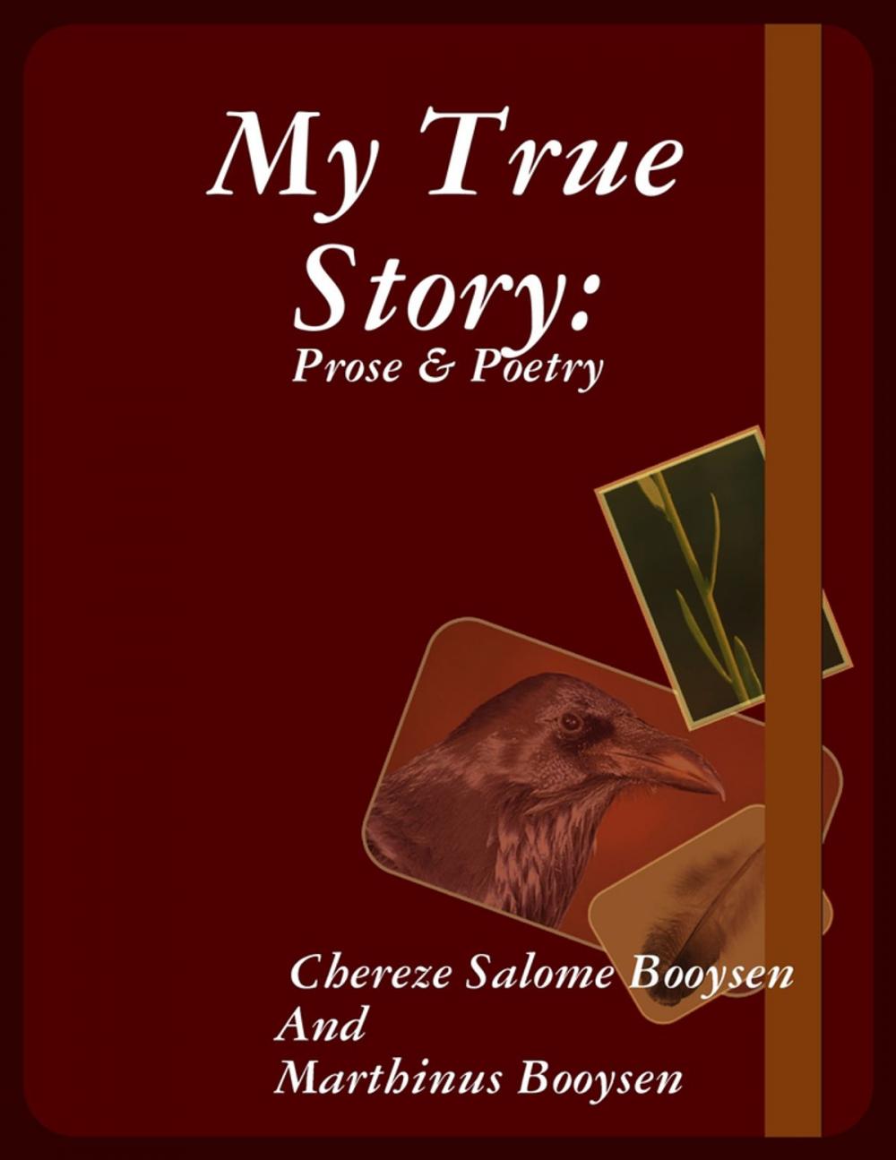 Big bigCover of My True Story: Prose & Poetry