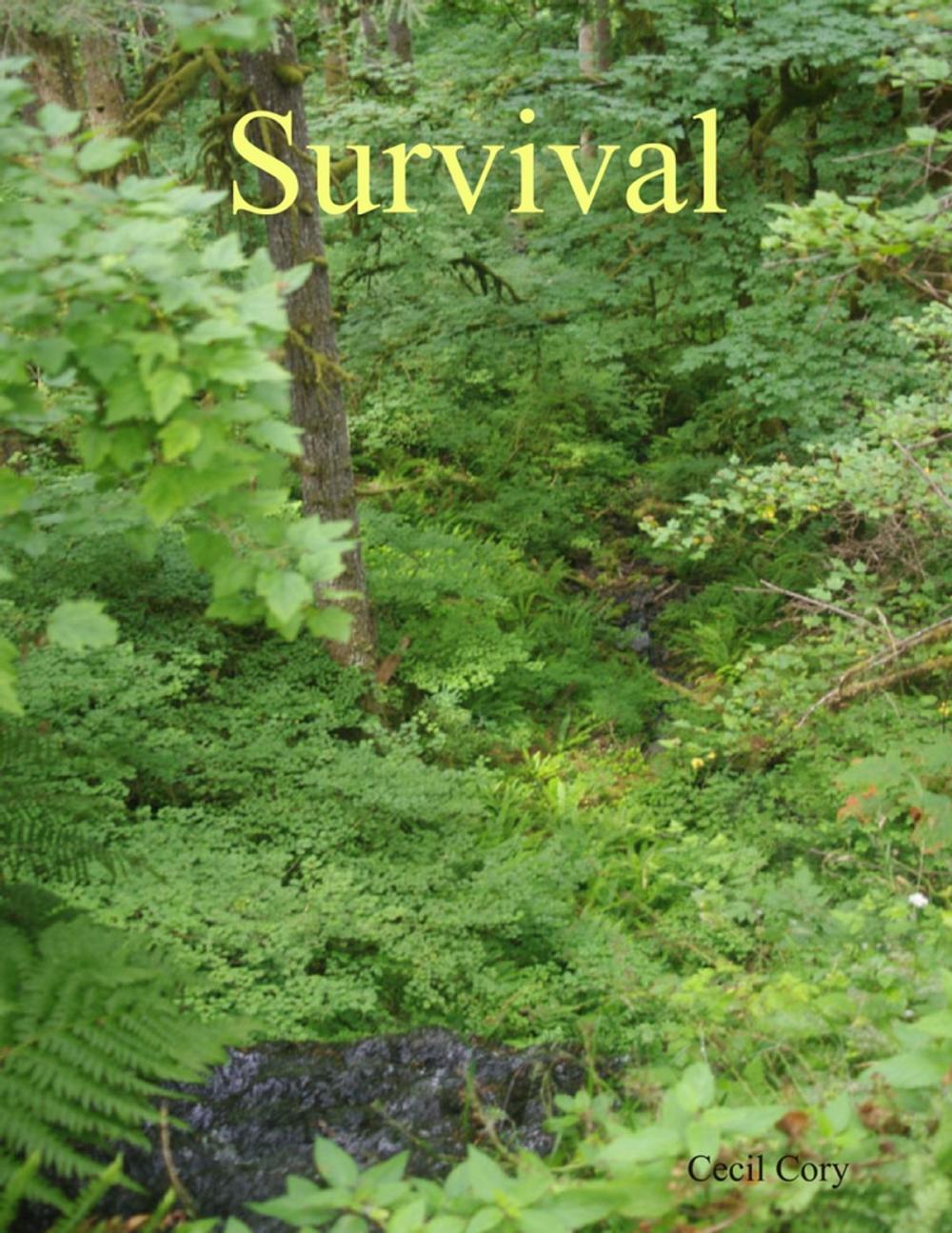 Big bigCover of Survival