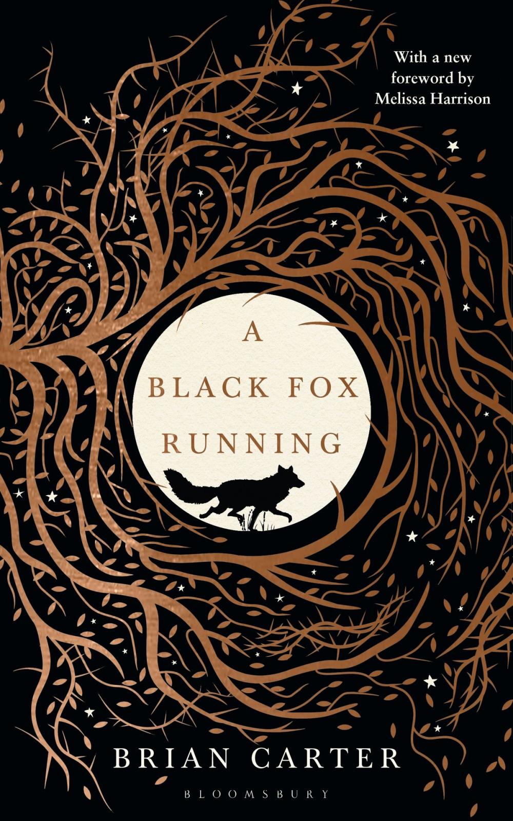 Big bigCover of A Black Fox Running