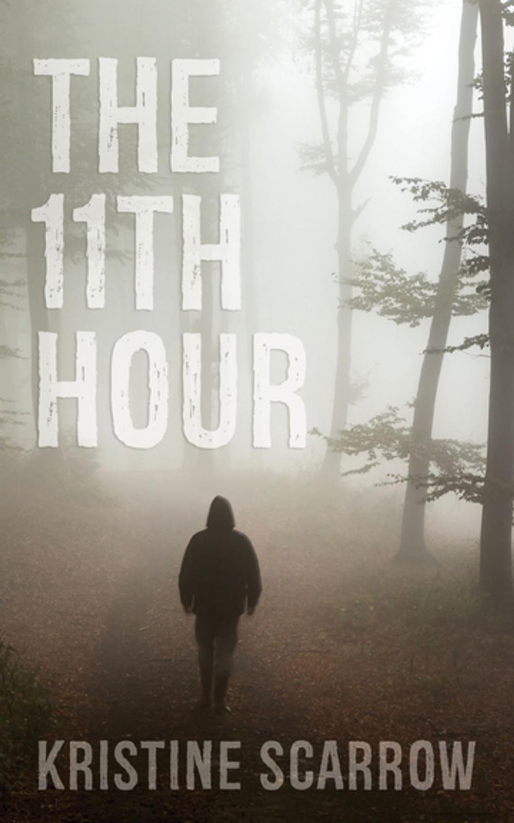 Big bigCover of The 11th Hour