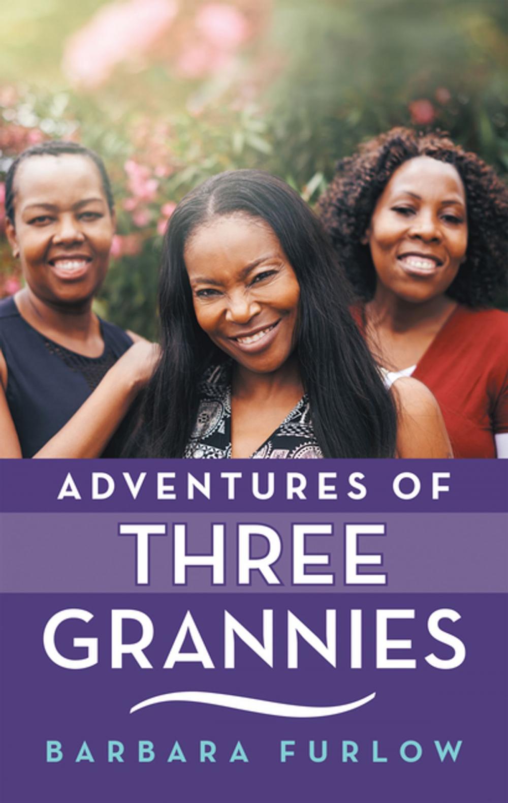 Big bigCover of Adventures of Three Grannies