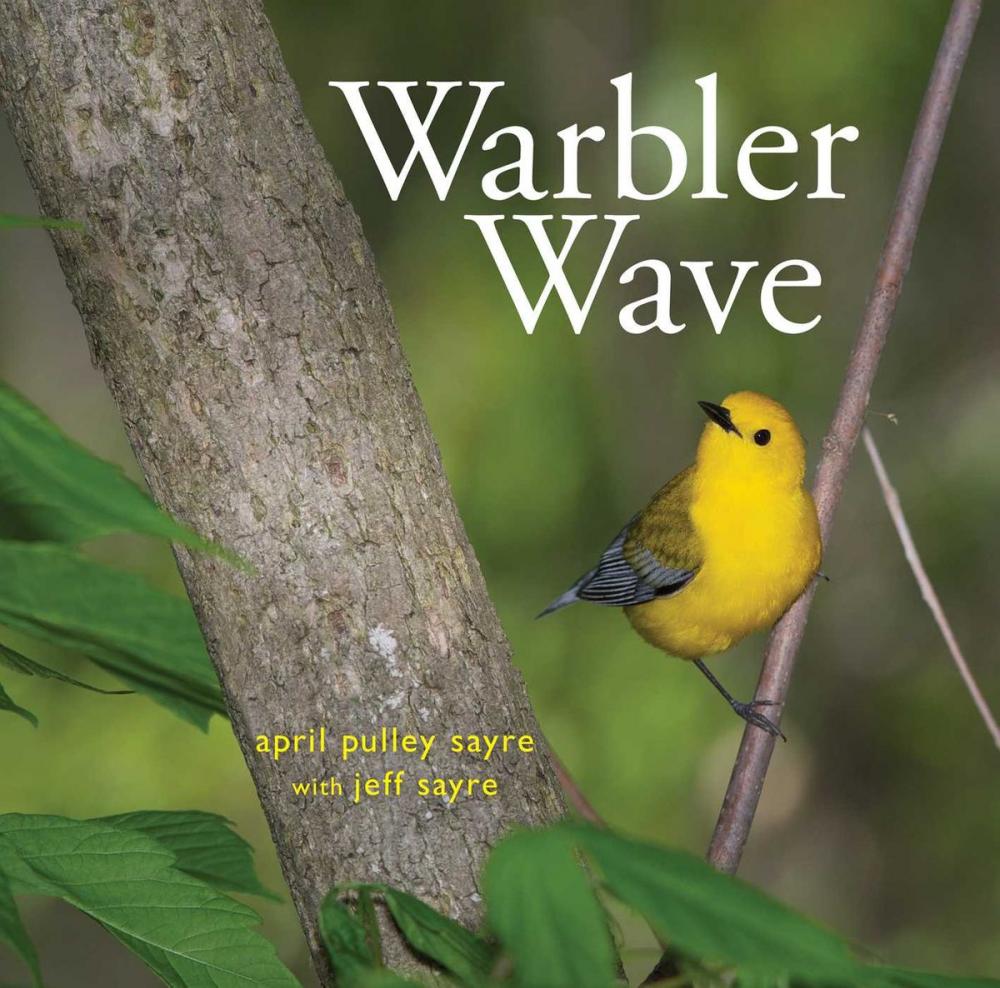 Big bigCover of Warbler Wave