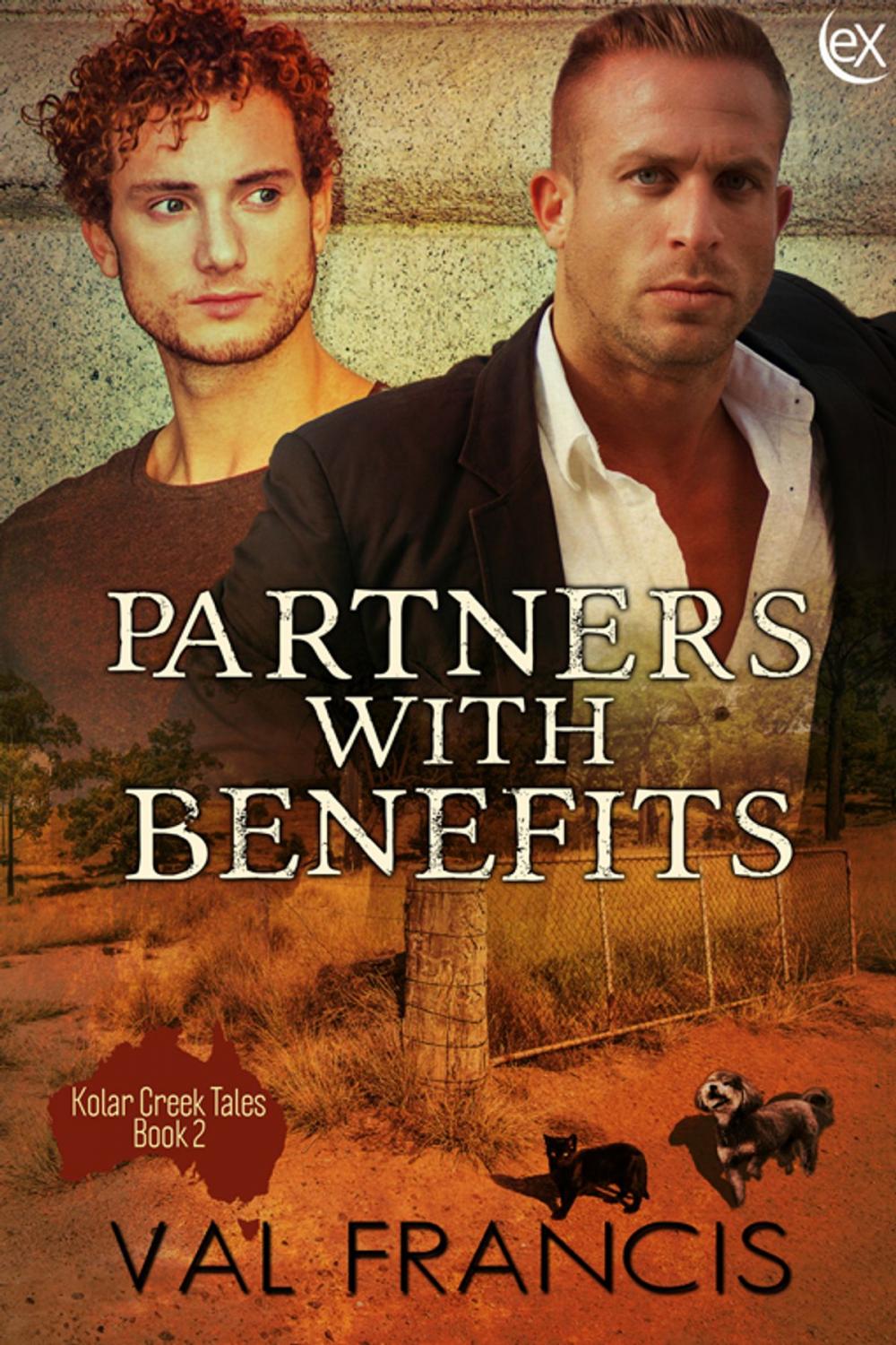 Big bigCover of Partners with Benefits