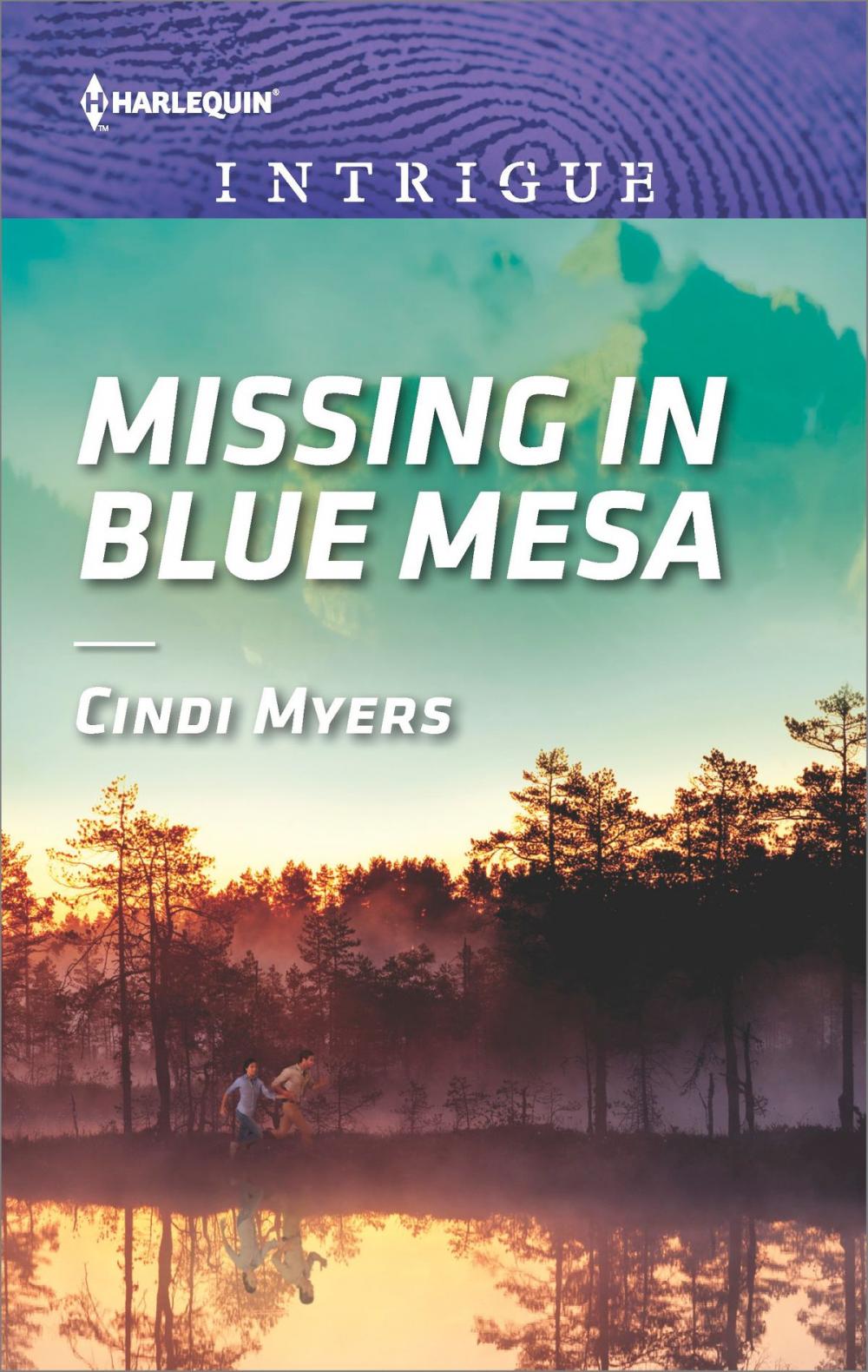 Big bigCover of Missing in Blue Mesa