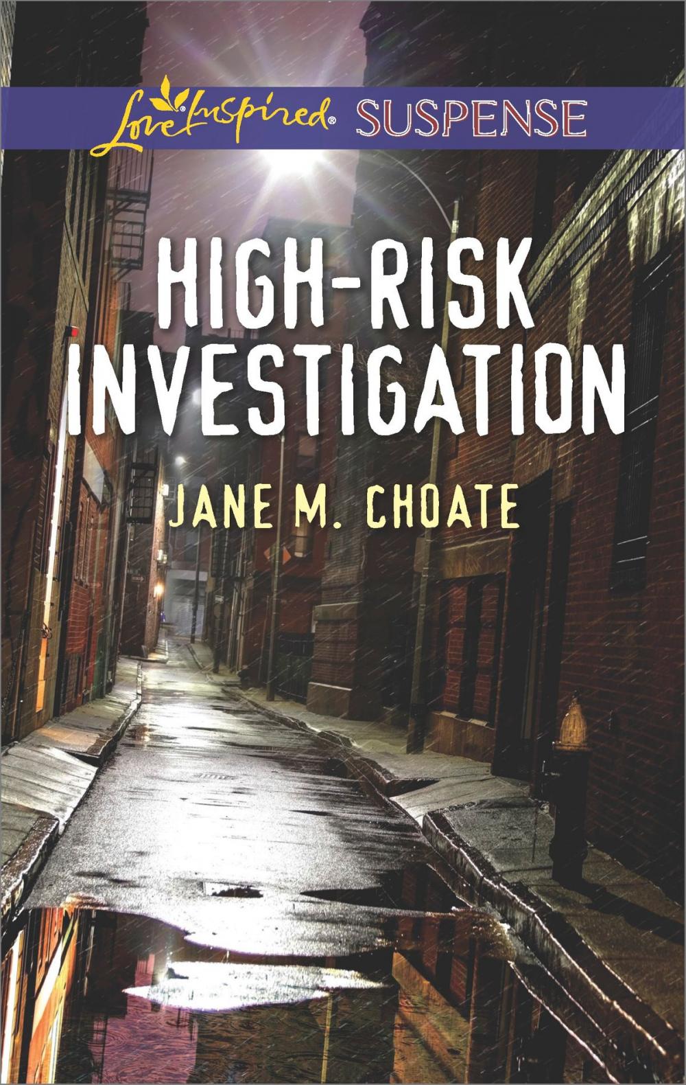 Big bigCover of High-Risk Investigation