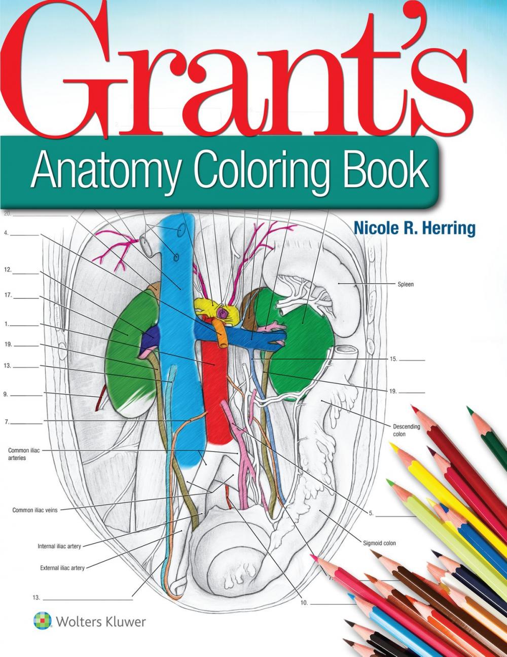 Big bigCover of Grant's Anatomy Coloring Book