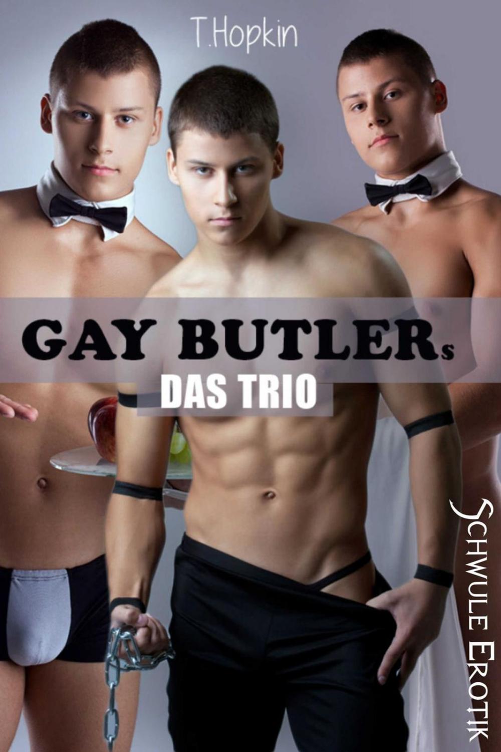 Big bigCover of Gay Butler - Das Trio: Schwule Erotik