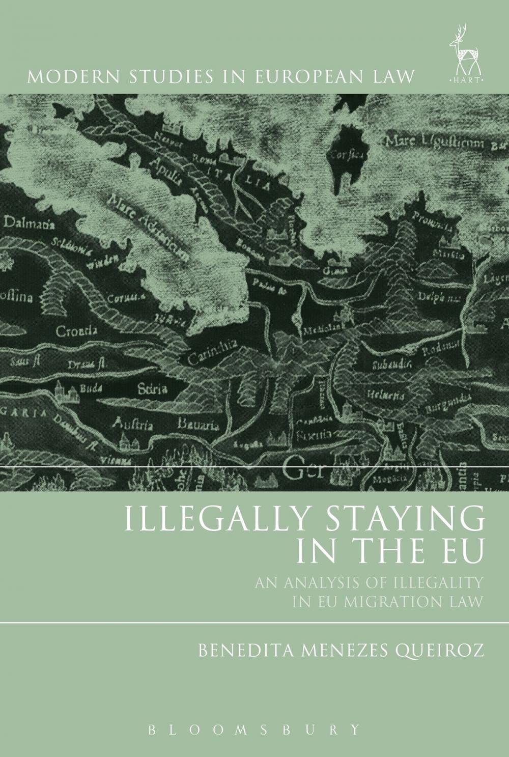 Big bigCover of Illegally Staying in the EU