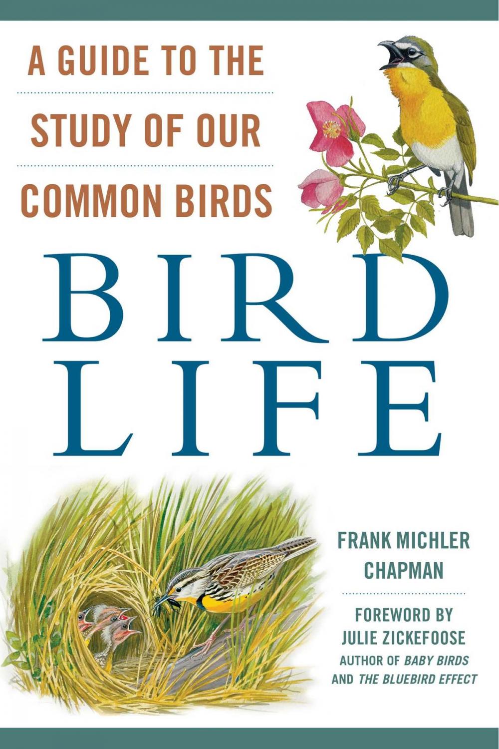 Big bigCover of Bird Life