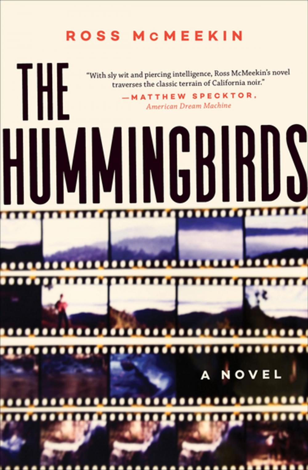 Big bigCover of The Hummingbirds