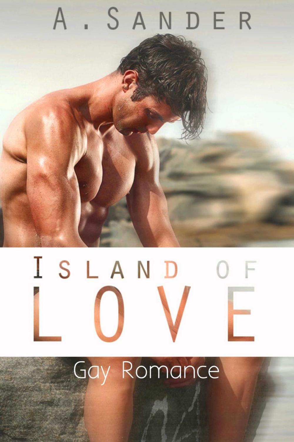 Big bigCover of Island of Love: Gay Romance