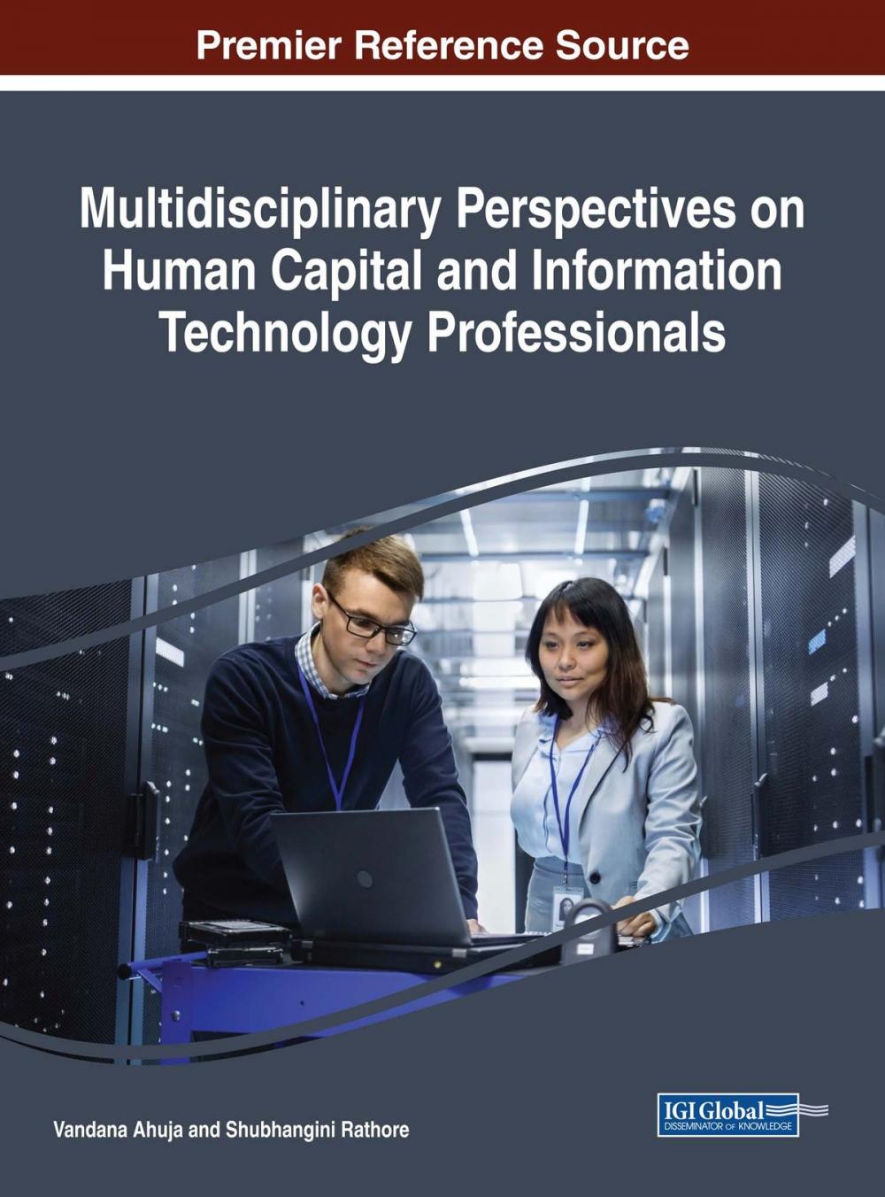 Big bigCover of Multidisciplinary Perspectives on Human Capital and Information Technology Professionals