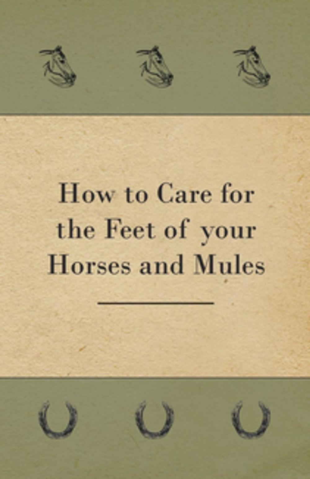 Big bigCover of How to Care for the Feet of your Horses and Mules