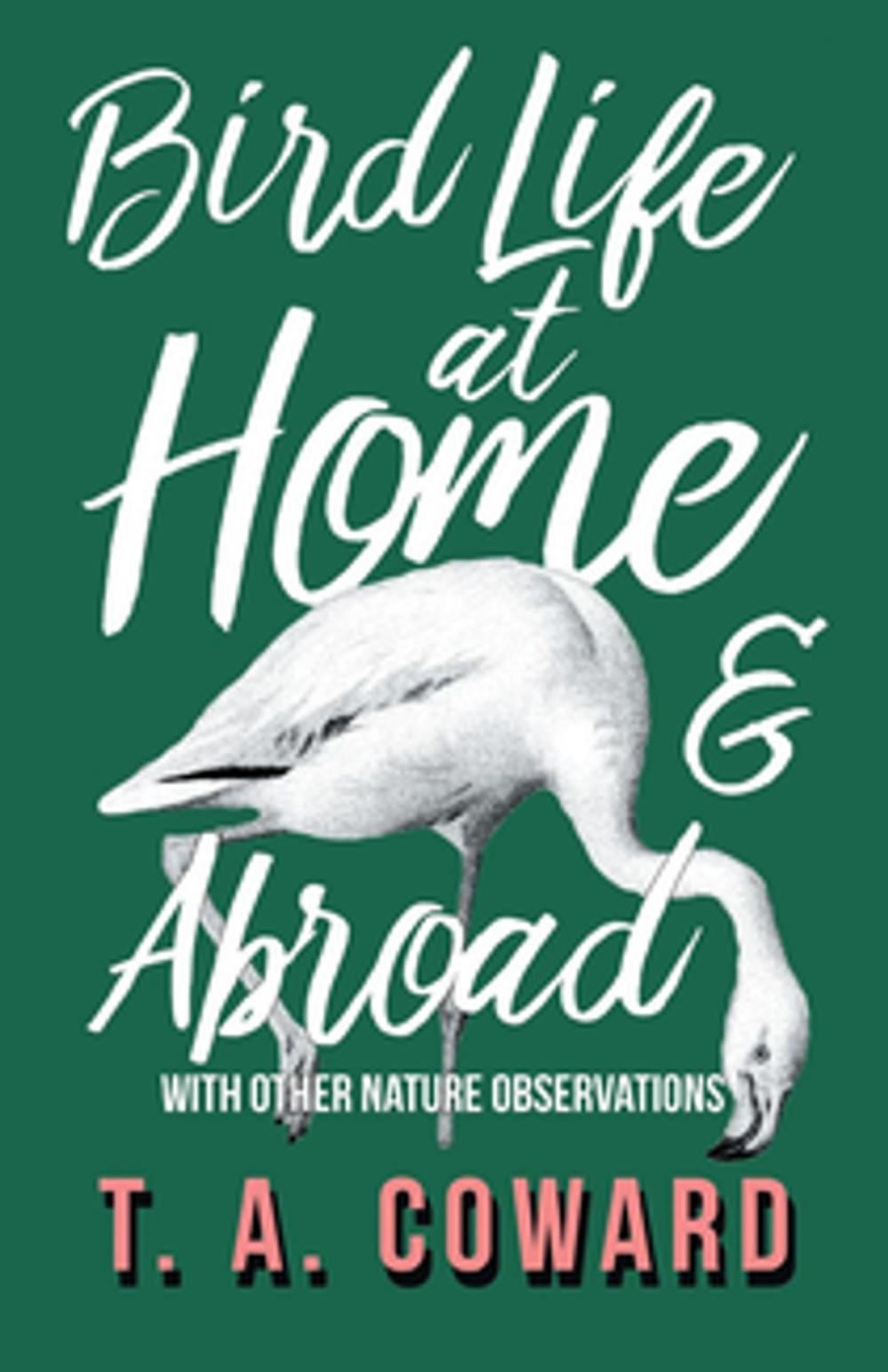 Big bigCover of Bird Life at Home and Abroad - With Other Nature Observations