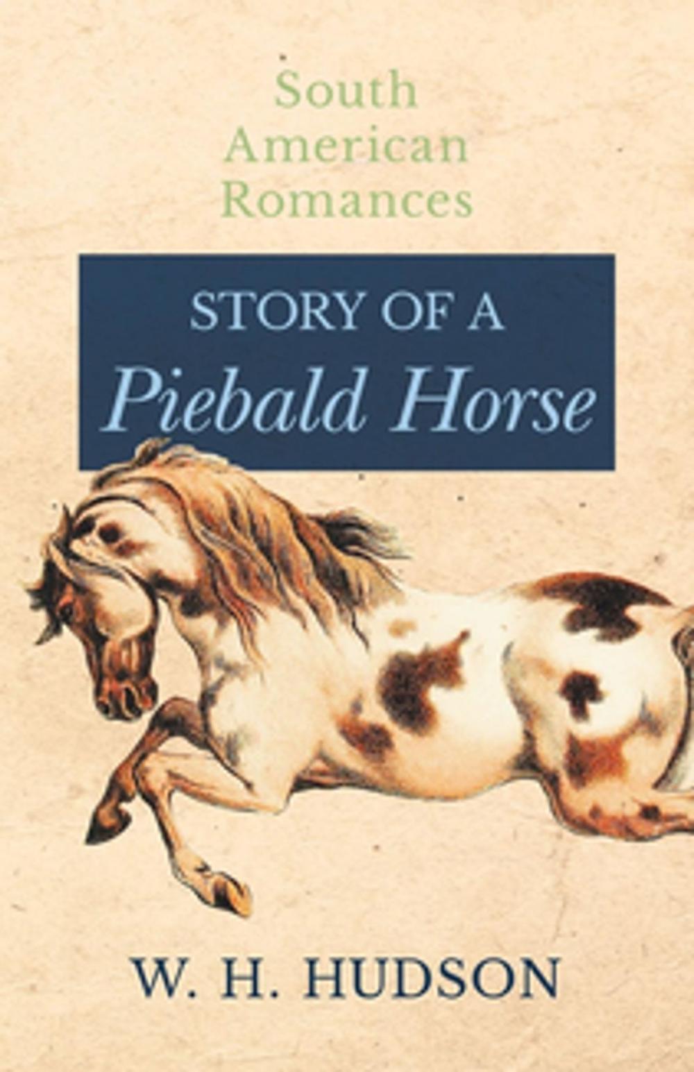 Big bigCover of Story of a Piebald Horse (South American Romances)